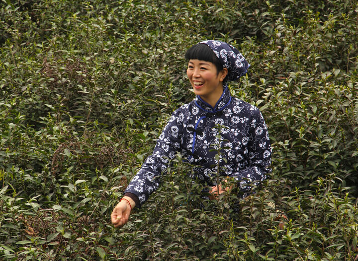 最新3